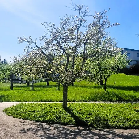 Apartment In Tiroler Mit Salvenblick