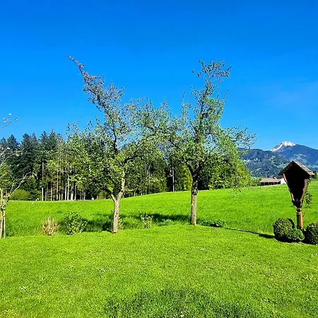 In Tiroler Mit Salvenblick * Angerberg (Tyrol)