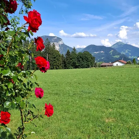 In Tiroler Mit Salvenblick * Angerberg (Tyrol)